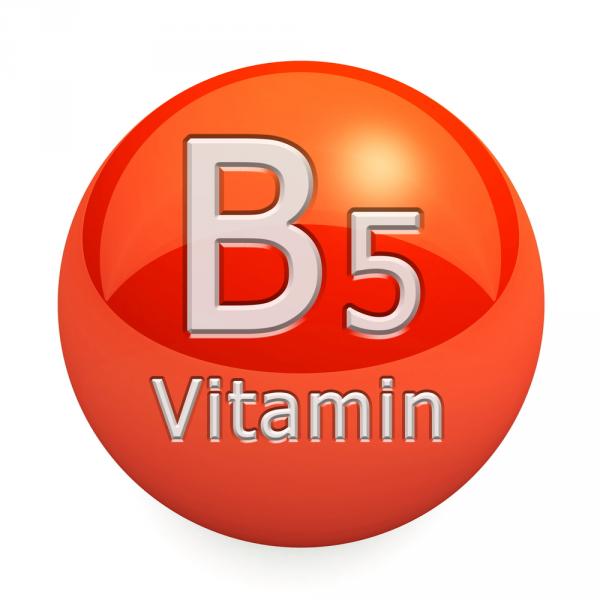 Trong bột yến mạch có chứa nhiều Vitamin B5