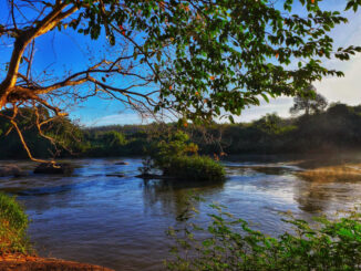 Top 11 khu du lịch sinh thái nên đến nhất ở Đồng Nai
