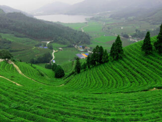 Top 14 Địa điểm du lịch lý tưởng nhất tỉnh Thái Nguyên